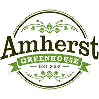 Amherst Greenhouse